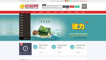 Kesion 政府網站案例——專注新教育技術服務商的綜合解決方案