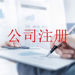 奉賢區內資公司注冊