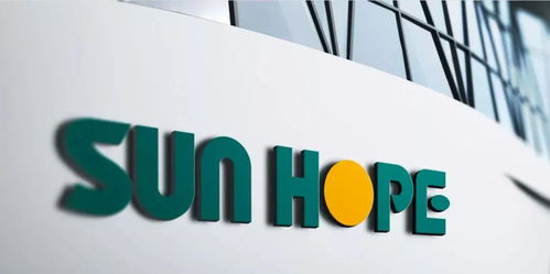 12.2億美元 強(qiáng)磁場(chǎng) 大閔行又簽下6個(gè)外資大項(xiàng)目